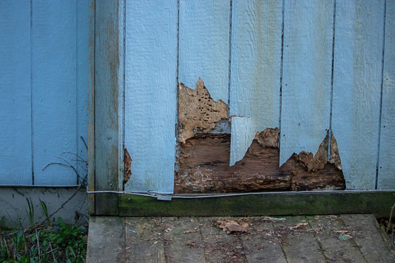Shiplap Siding Repair