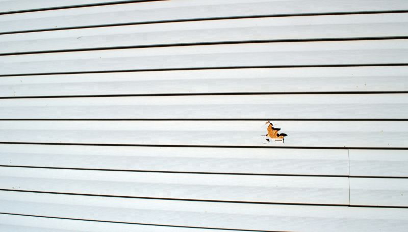 Siding Repair Inspection