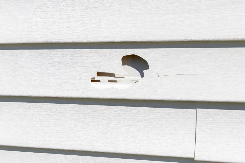 Weathered Vinyl Siding Fix