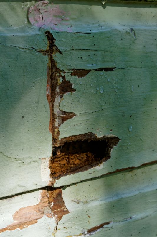 Wood Siding Repair